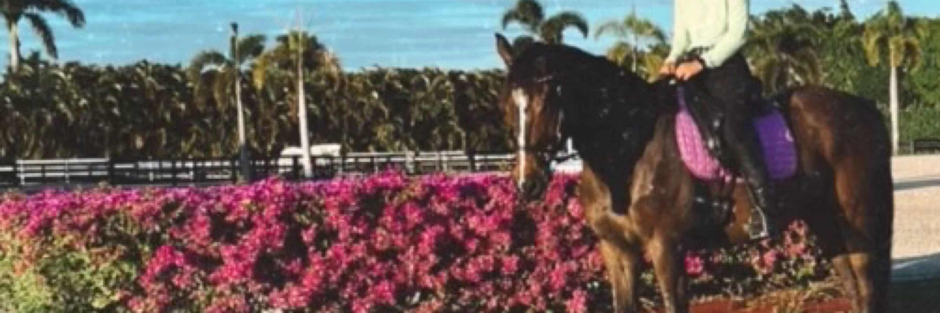 uneventful eventer