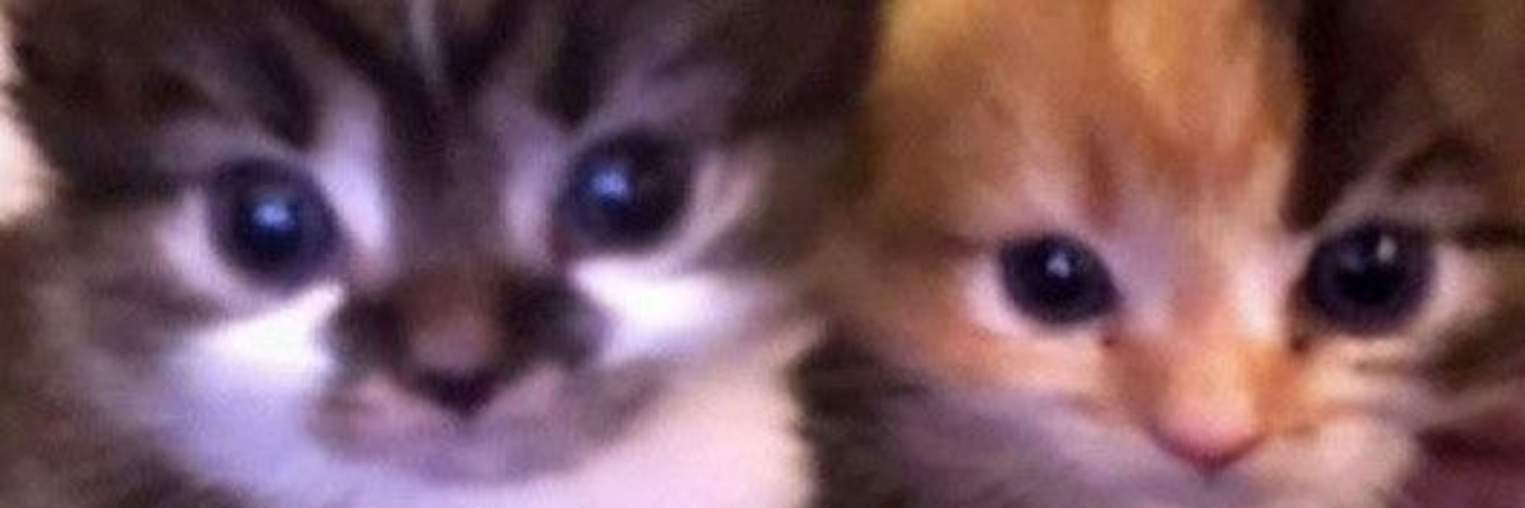 Peck