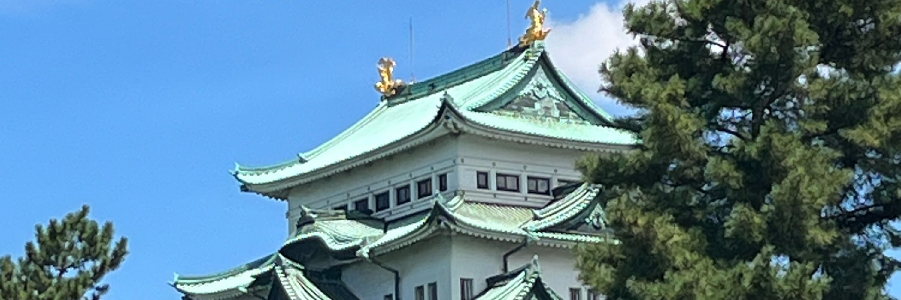 ぬる
