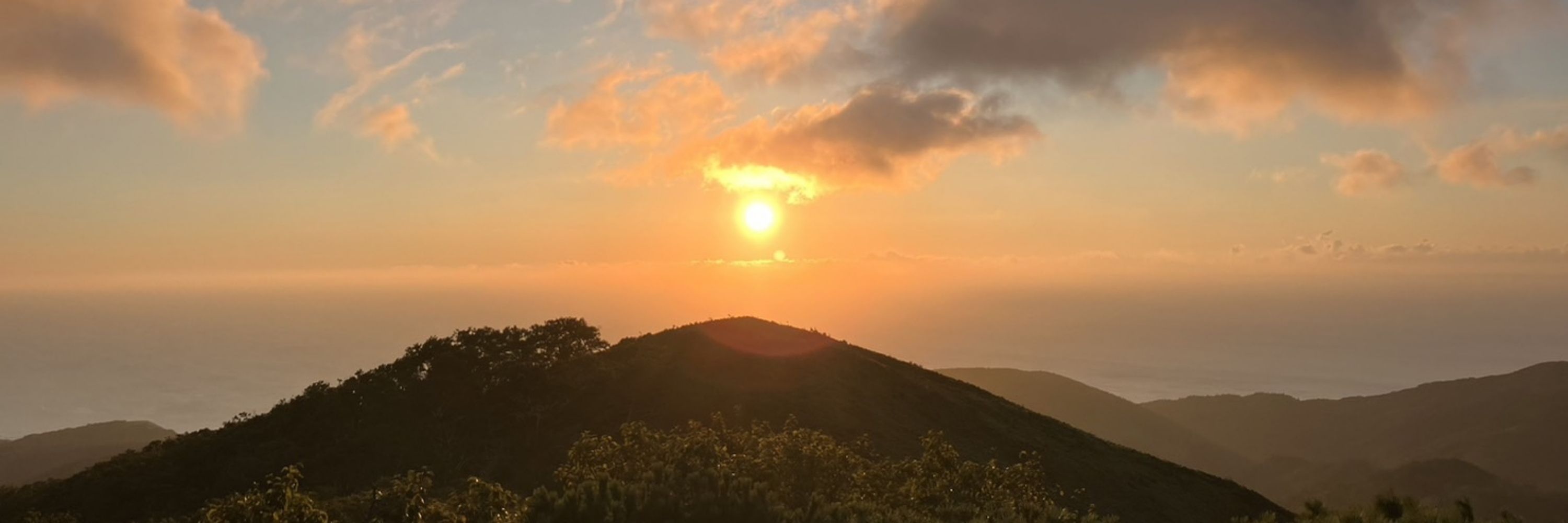 로오나