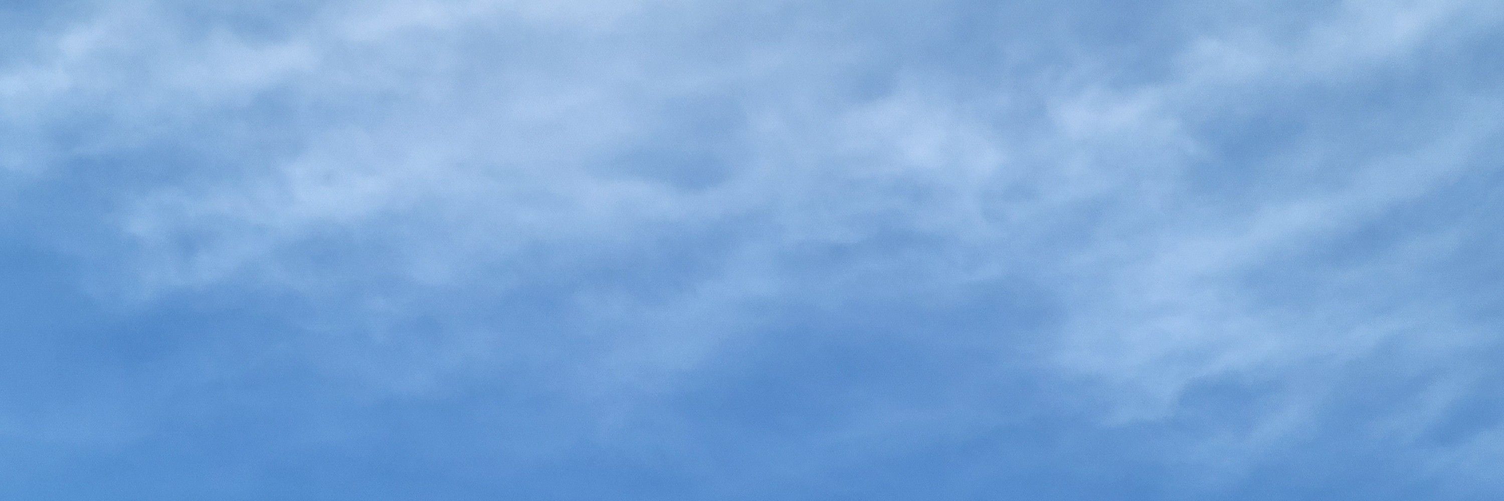 もふこ