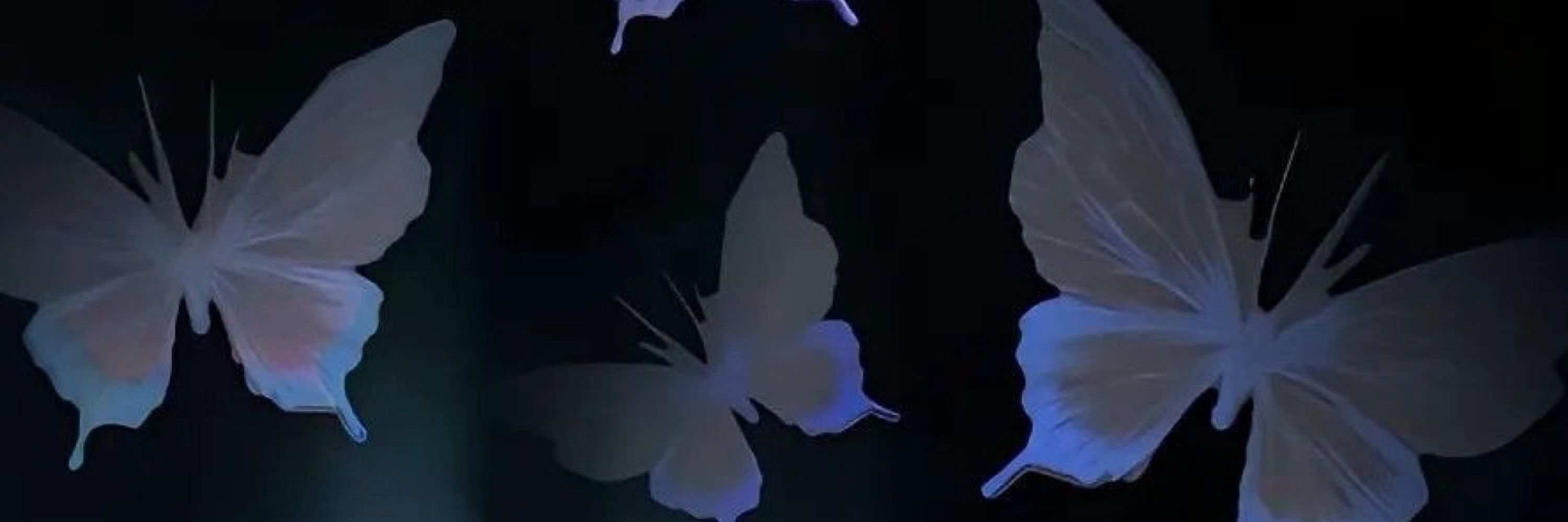 ₊⁺ ꒰১ Daeje ໒꒱ ⁺₊