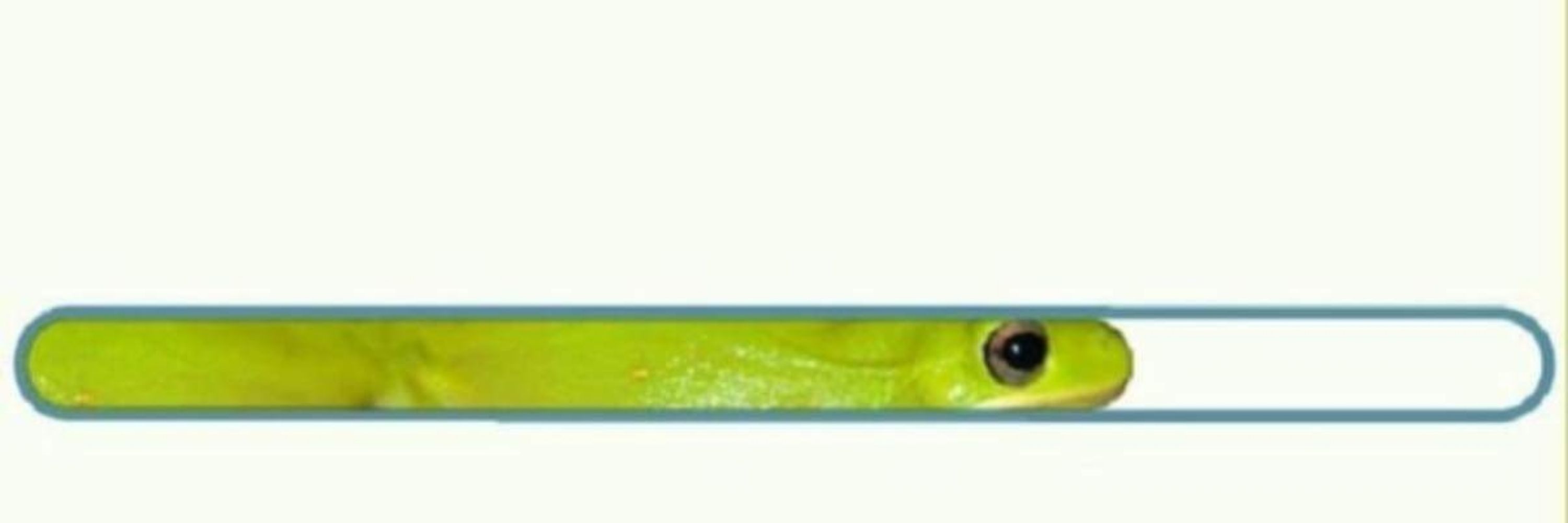 Calibur
