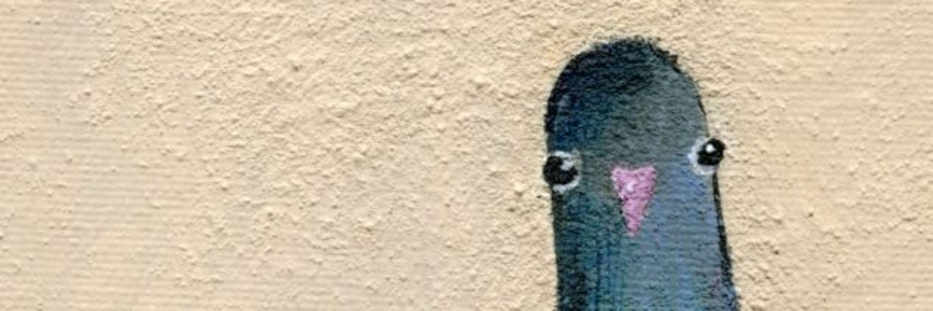Pigeon