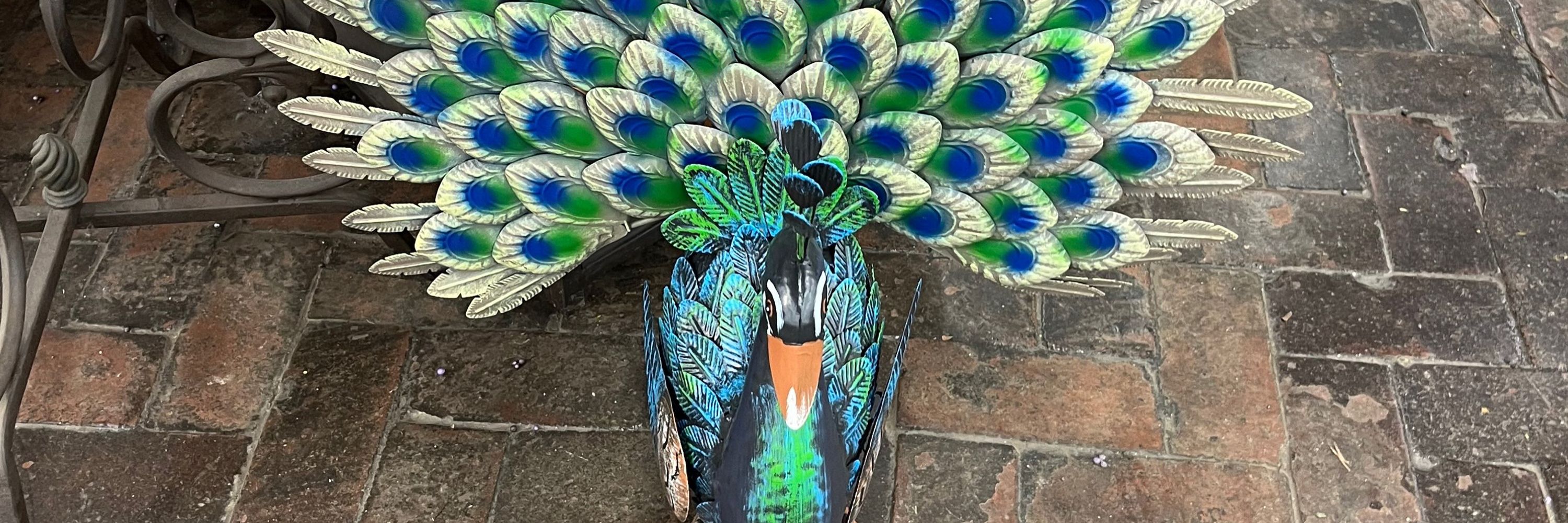 Marisa Peacock