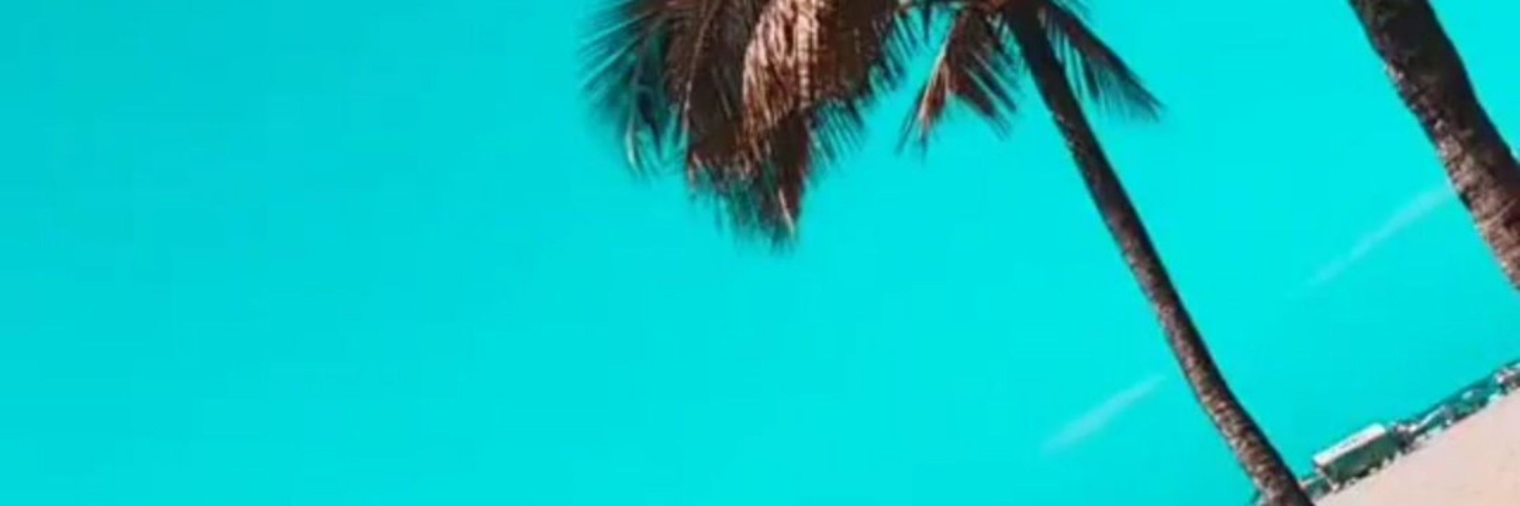 FJ 🦋