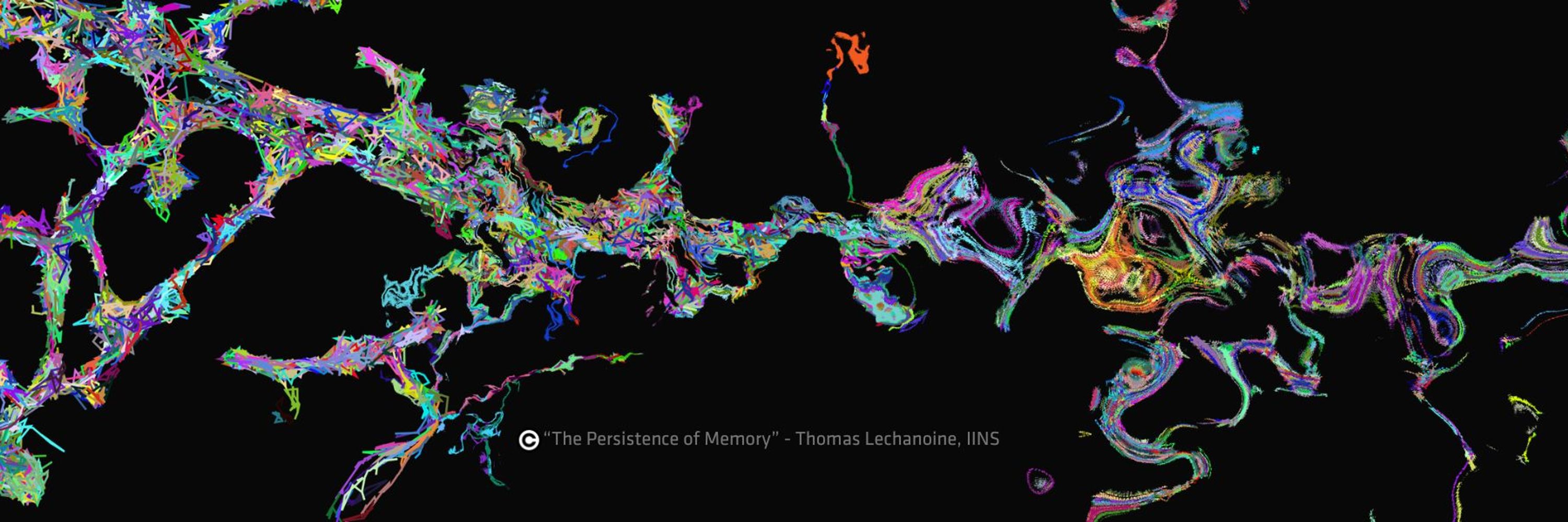 Interdisciplinary Institute for Neuroscience