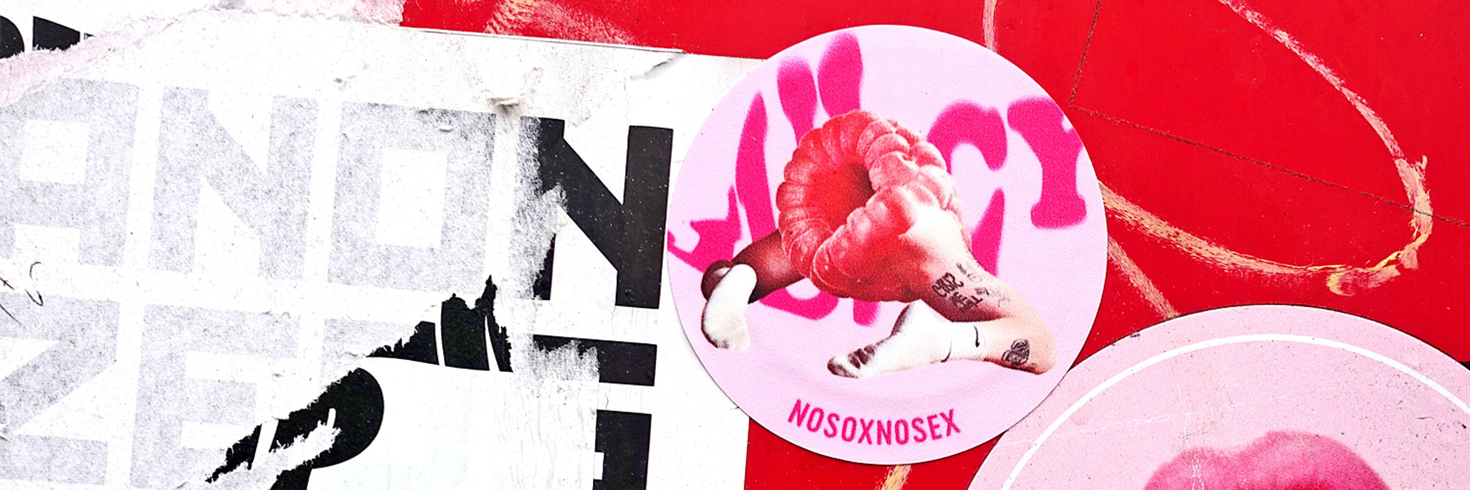 NSNS (NOSOXNOSEX)