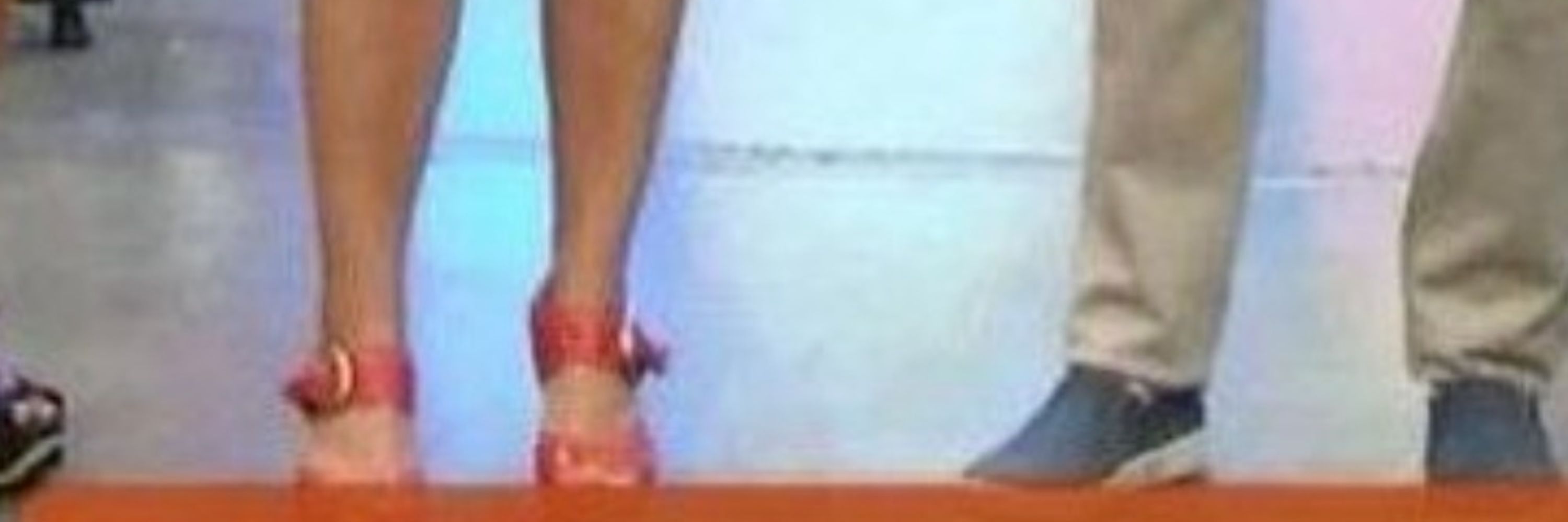 bruna petit gatinha 