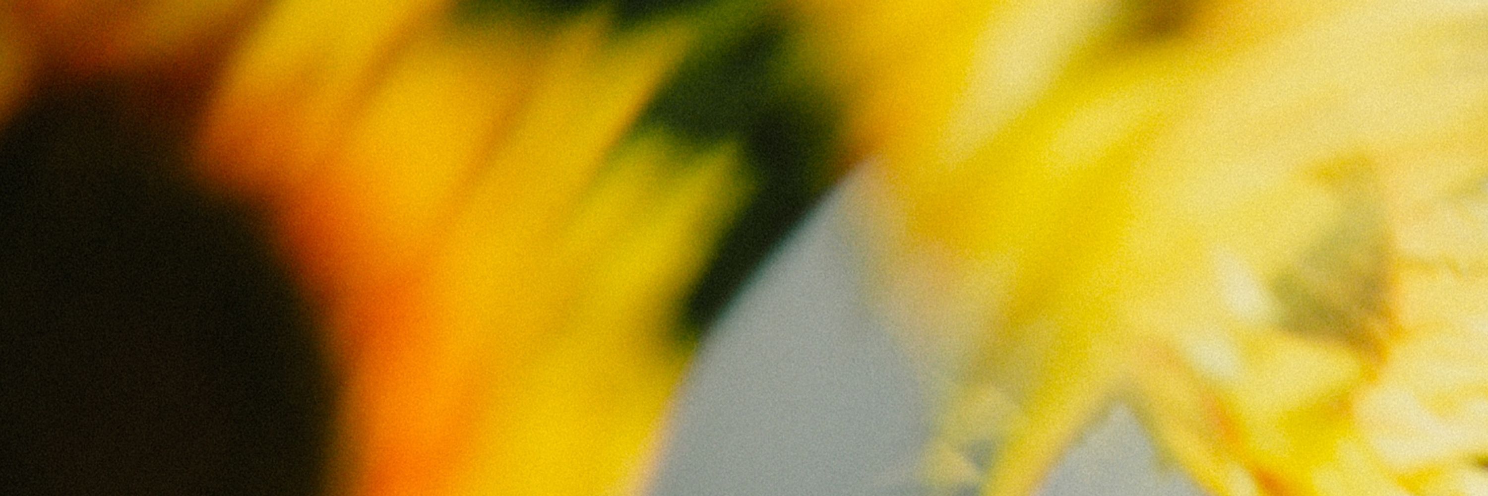 Siria Ferrer | Photographer