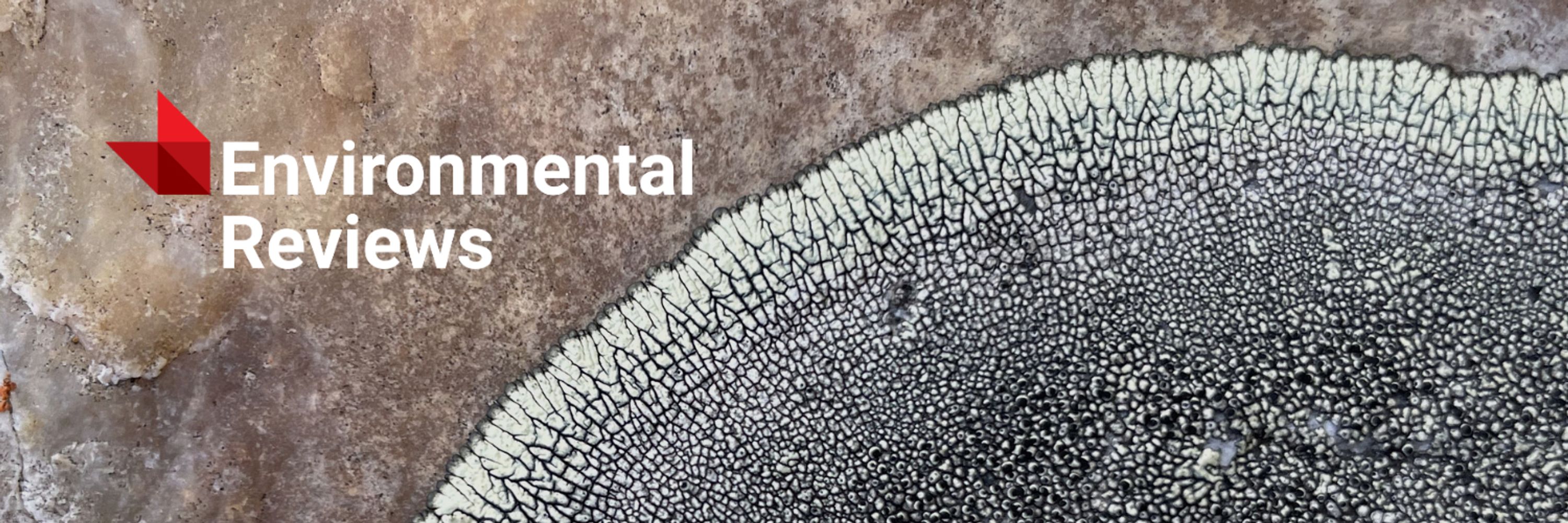 Environmental Reviews