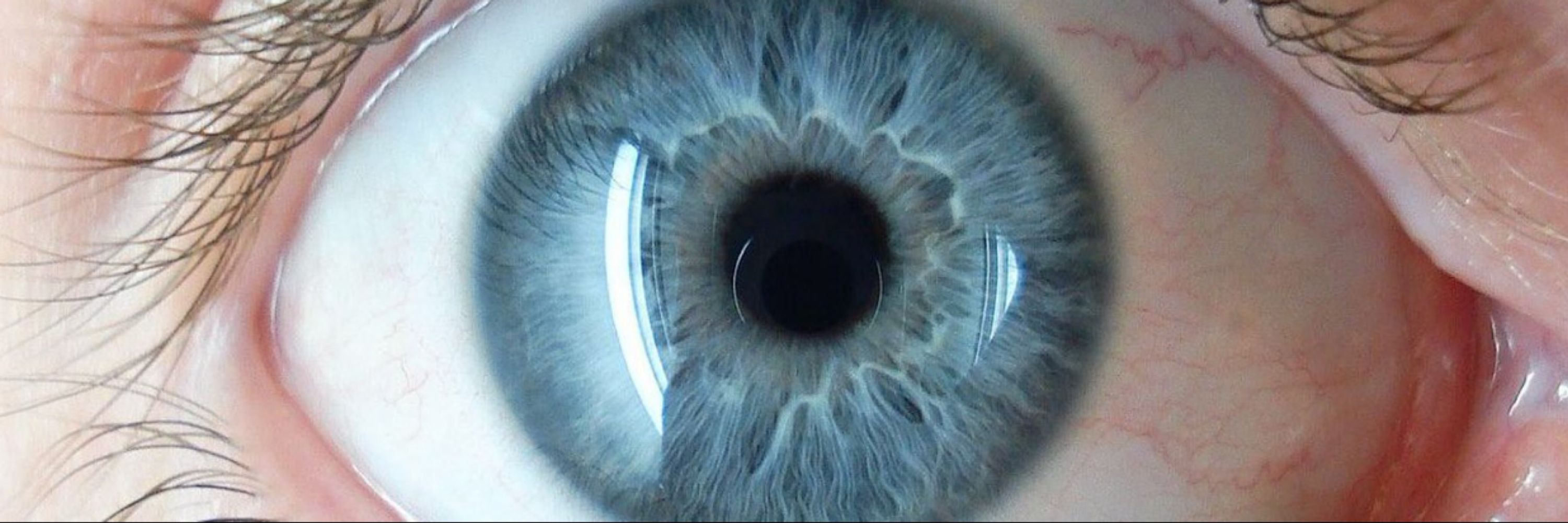 stock scope