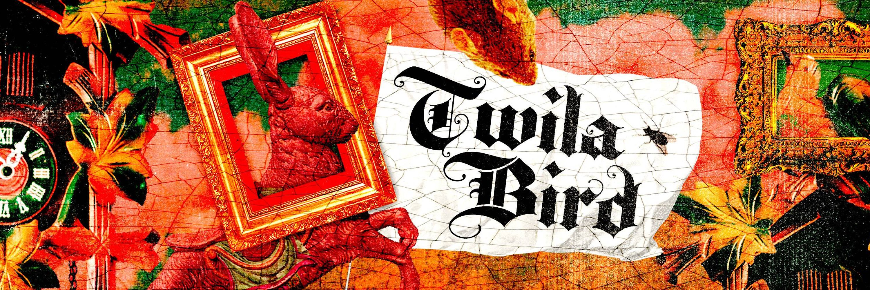 Twila Bird 