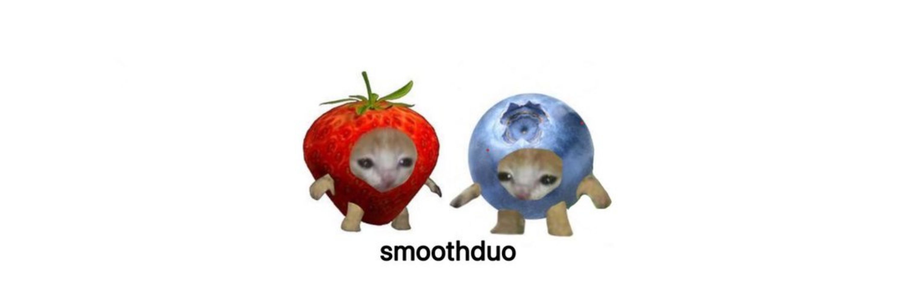 o que os smoothduo estão fazendo? 💌