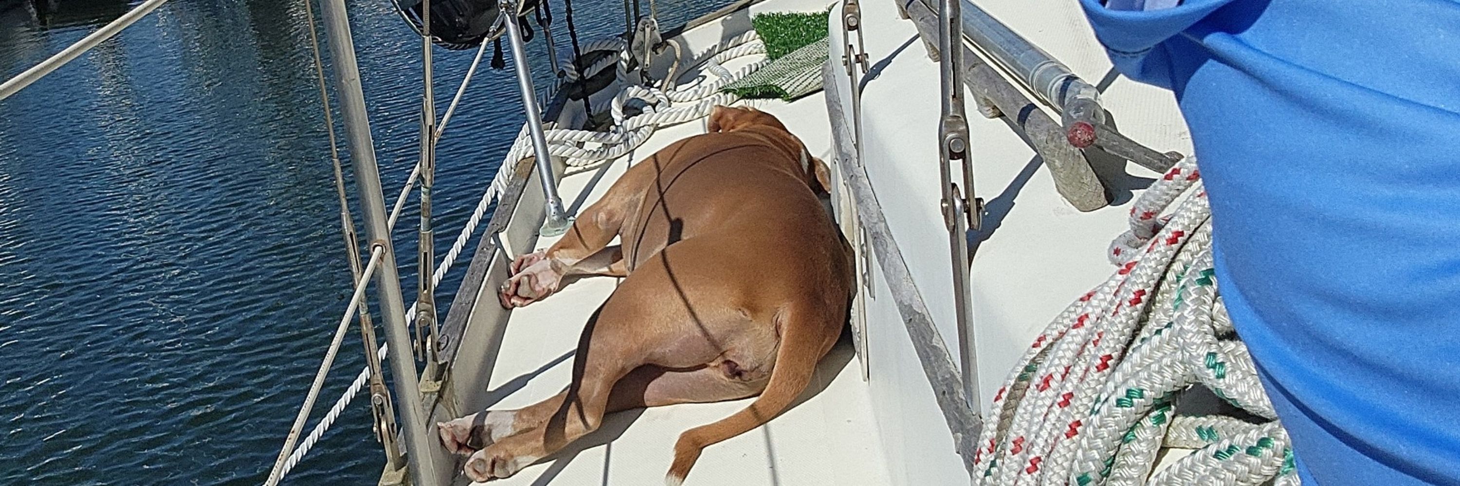 Capt Chuck & Velma the Boat Dog