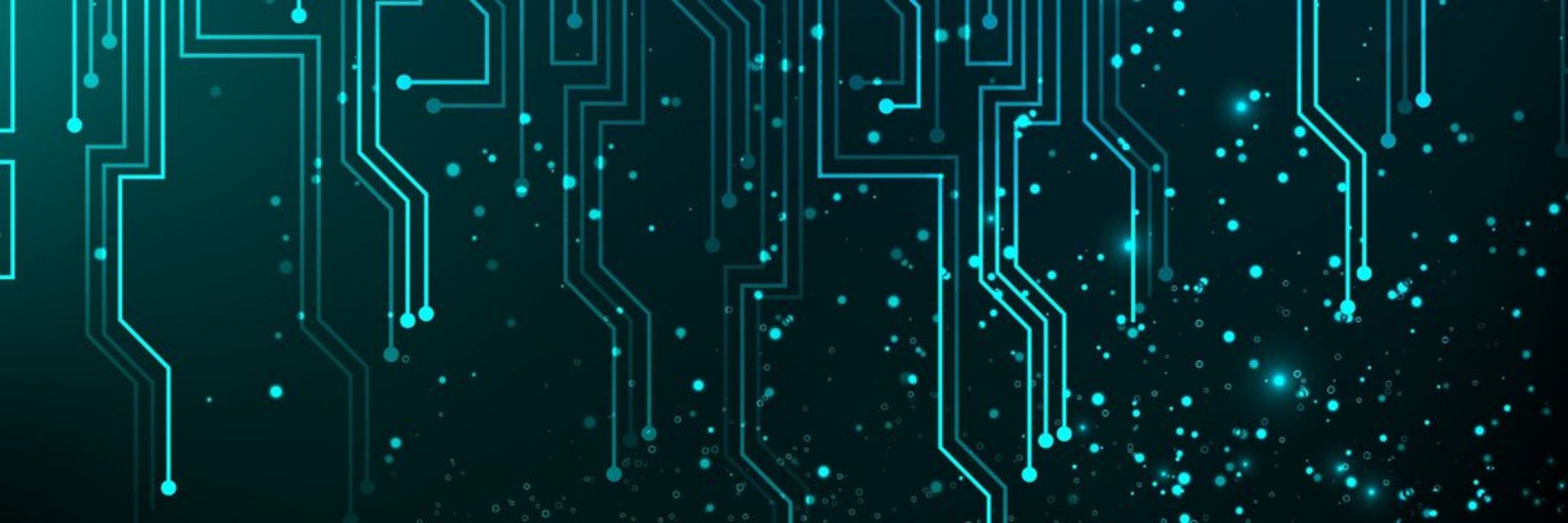 Bytemonkey