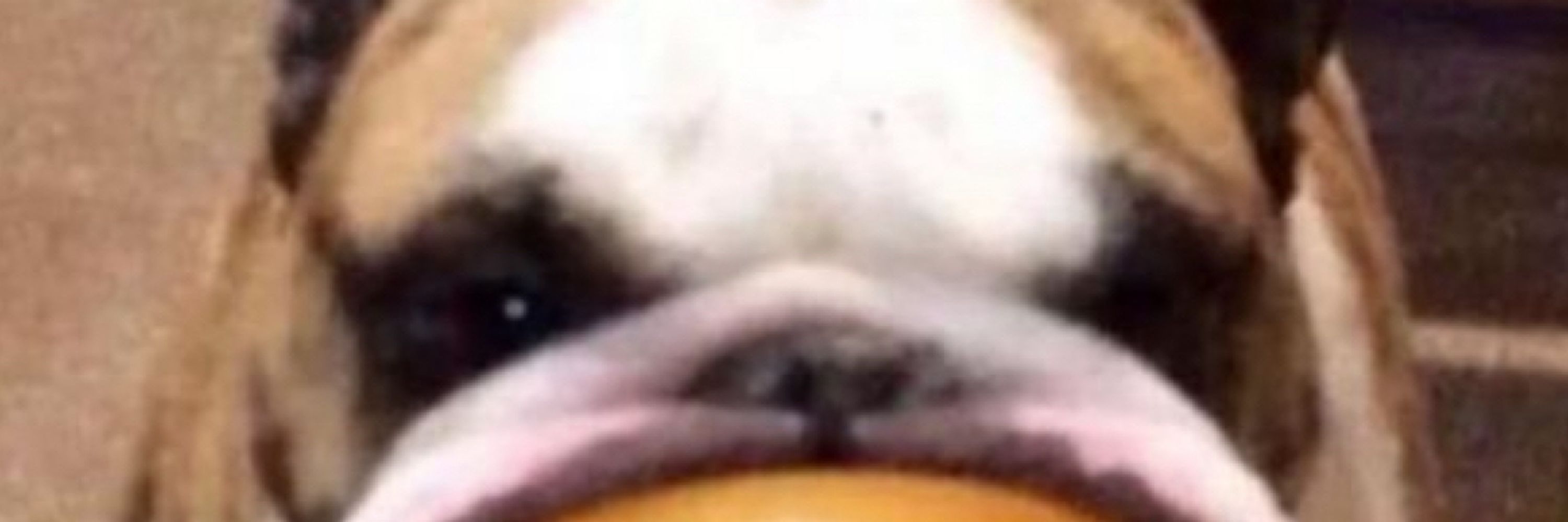 Milo