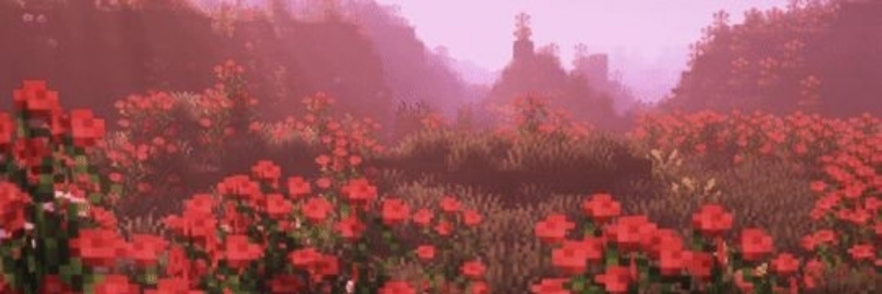 RulerzReachF4n