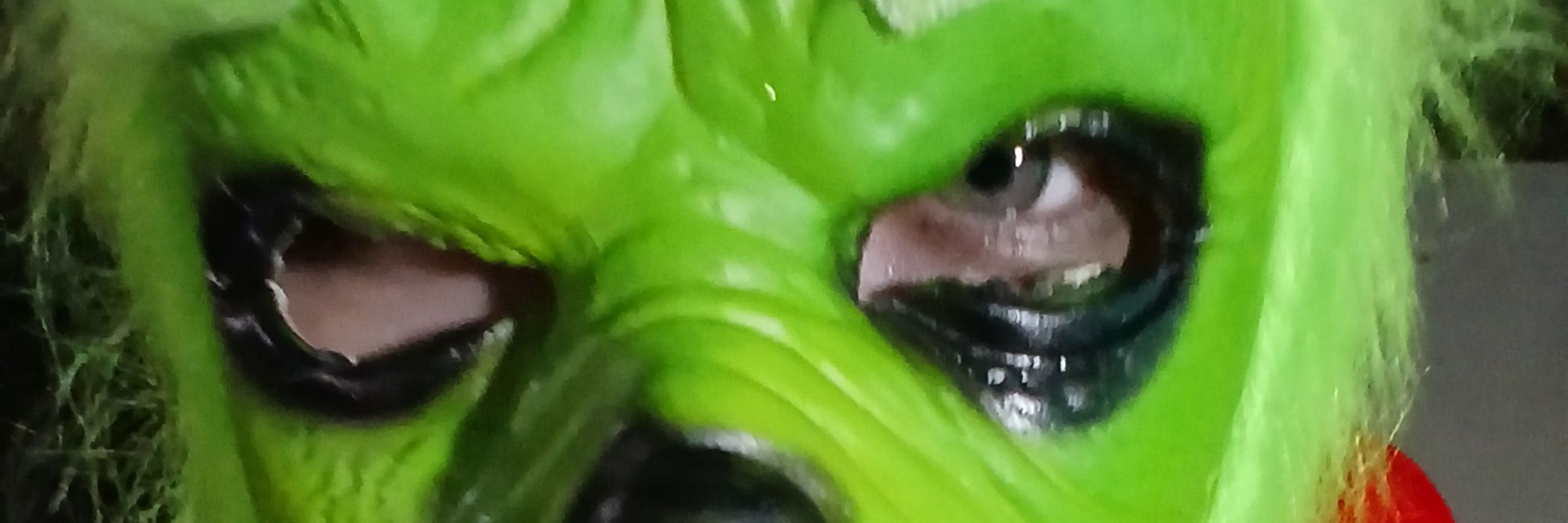 Leek