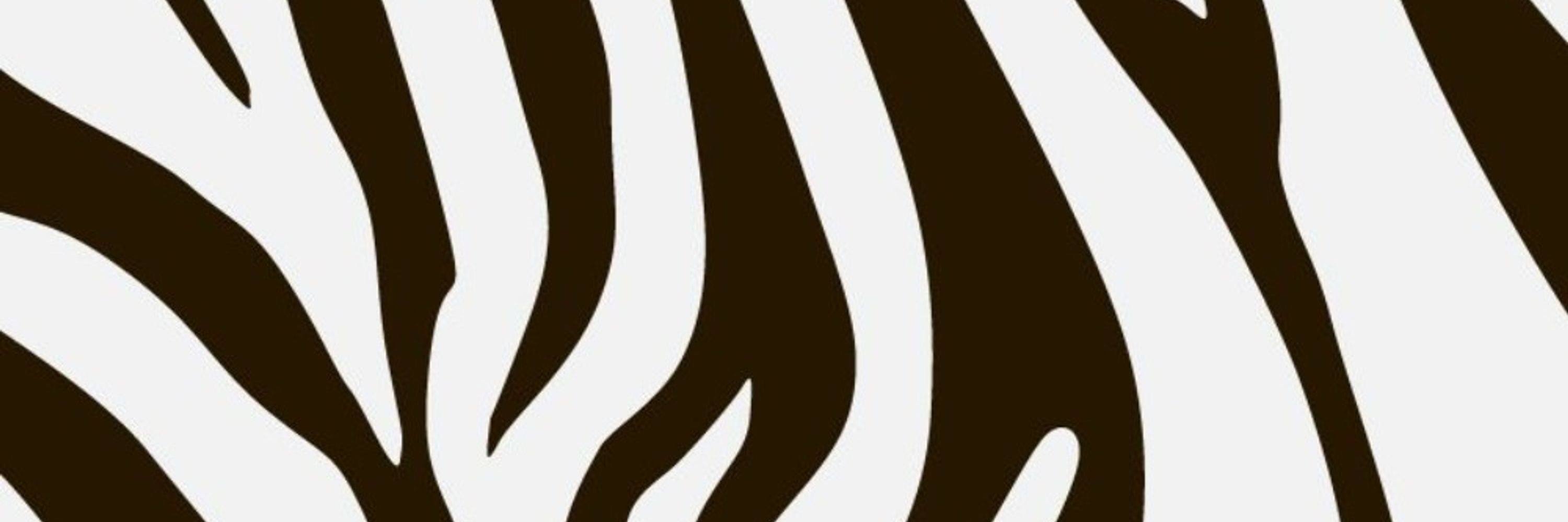 Legonnare Zebra