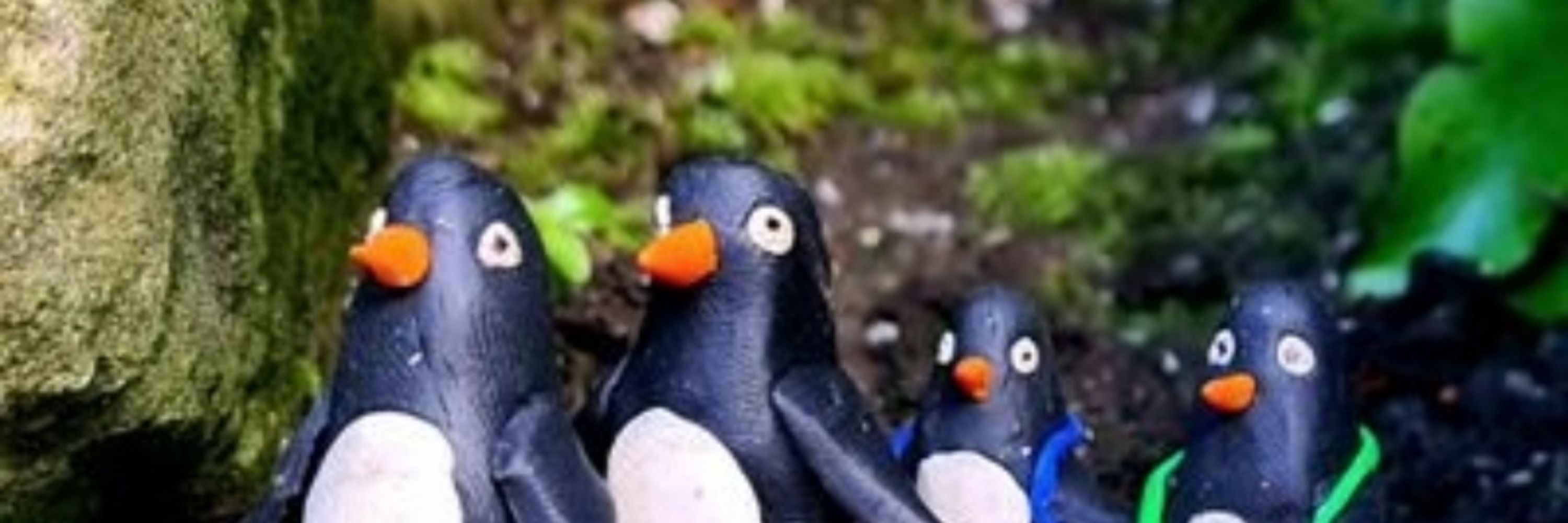 The Penguins in the Wall
