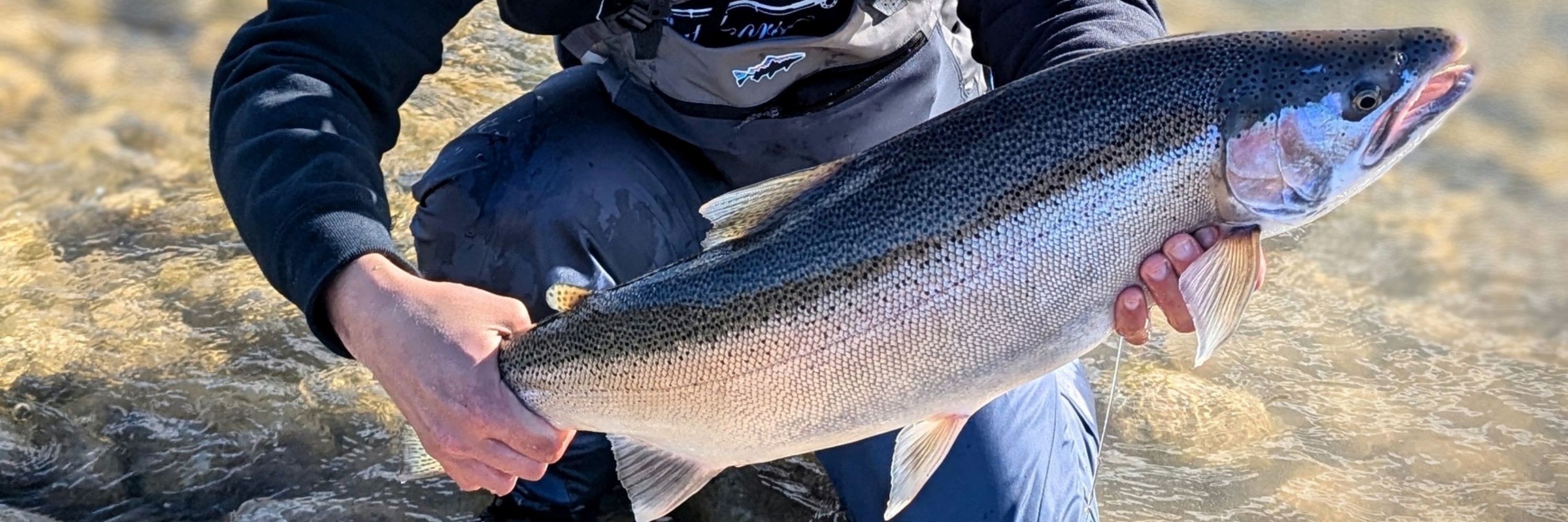 Jordan 🎣🇨🇦