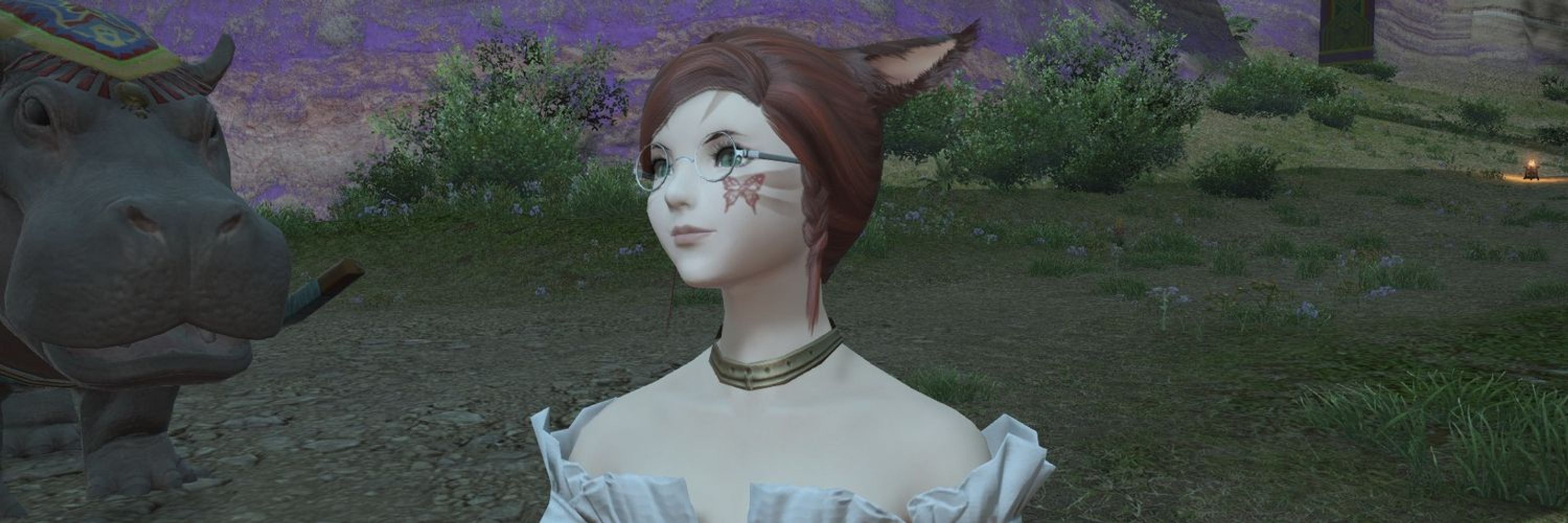 Cinnamon Frost
