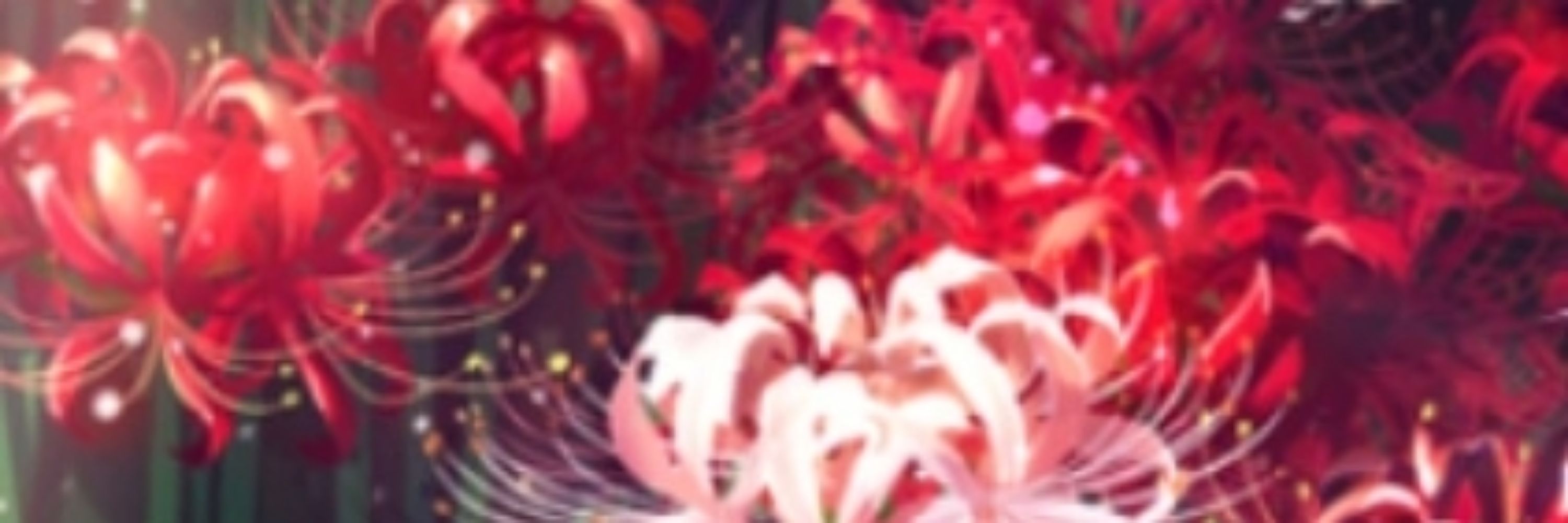 *͛⋆̩M⋆̩*͛