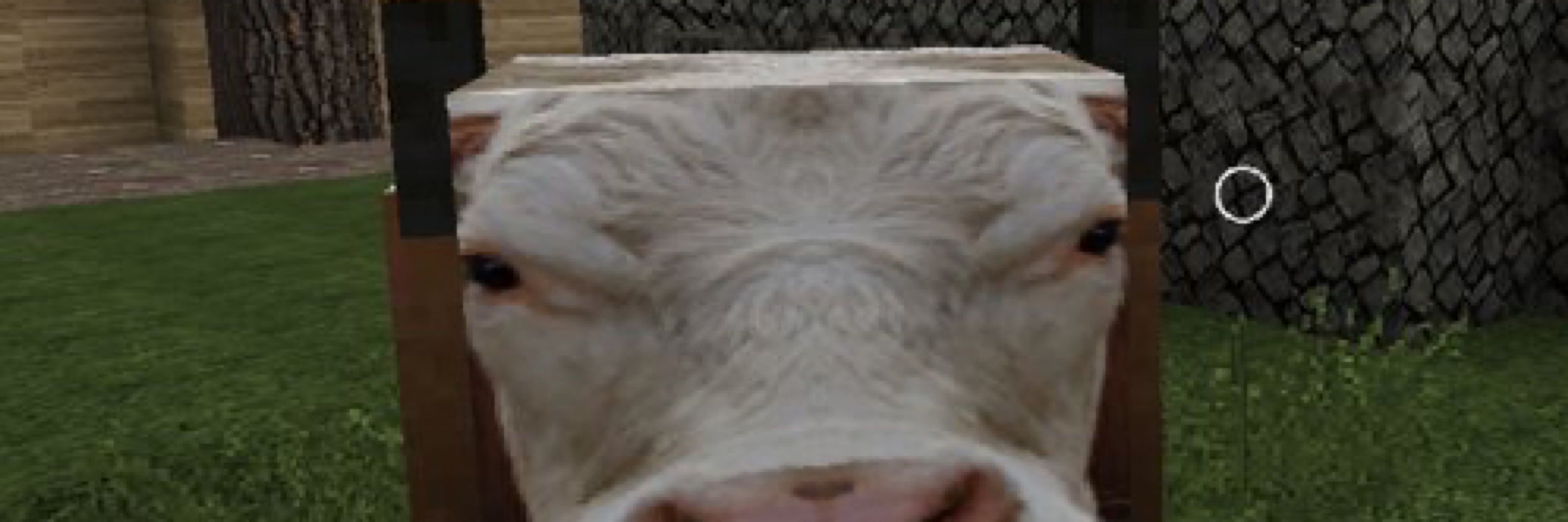 Piggy