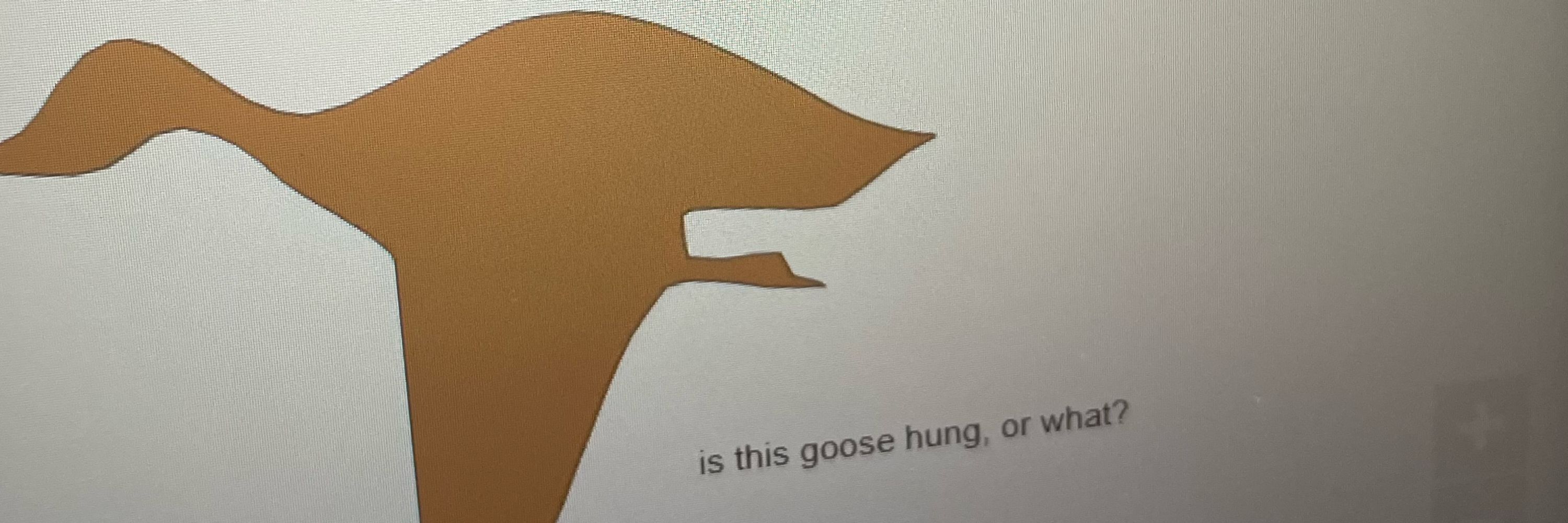 Who knows?