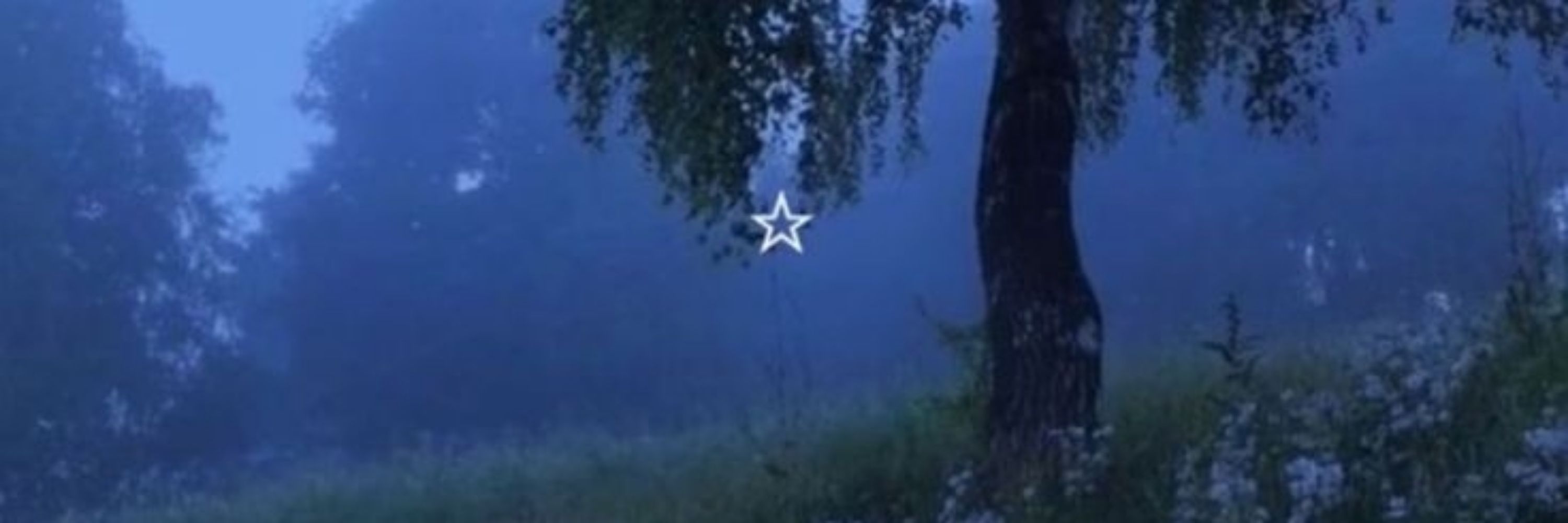 •☆° Ane °☆•