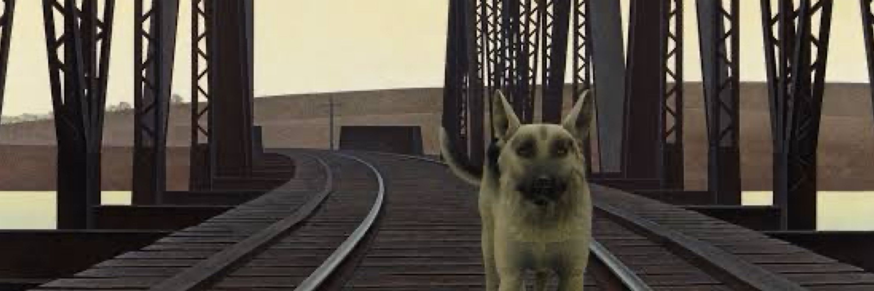 DOG AND BRIDGE