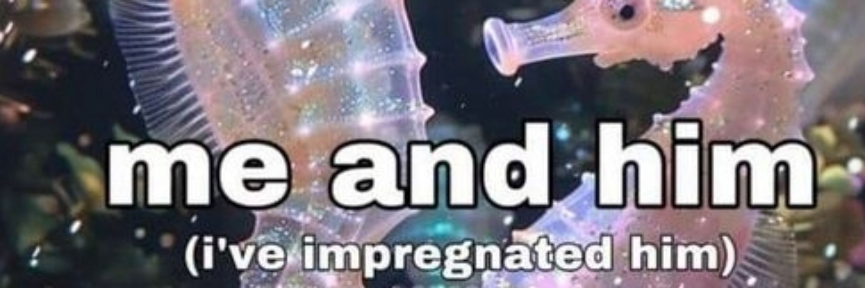 eridan IS brat