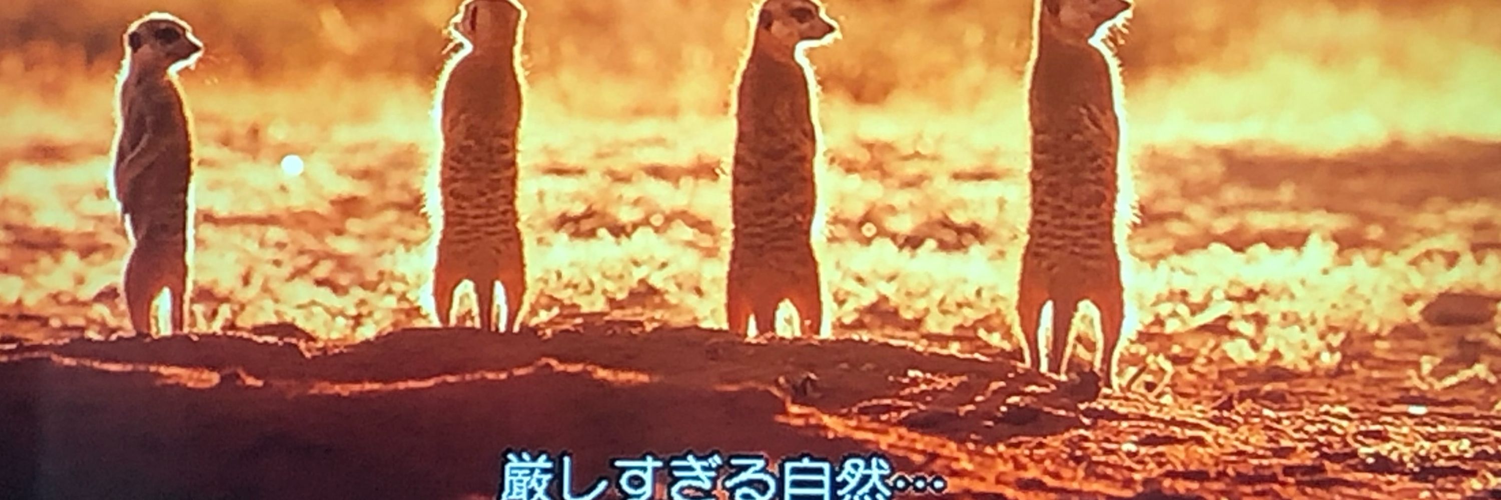 ひょん