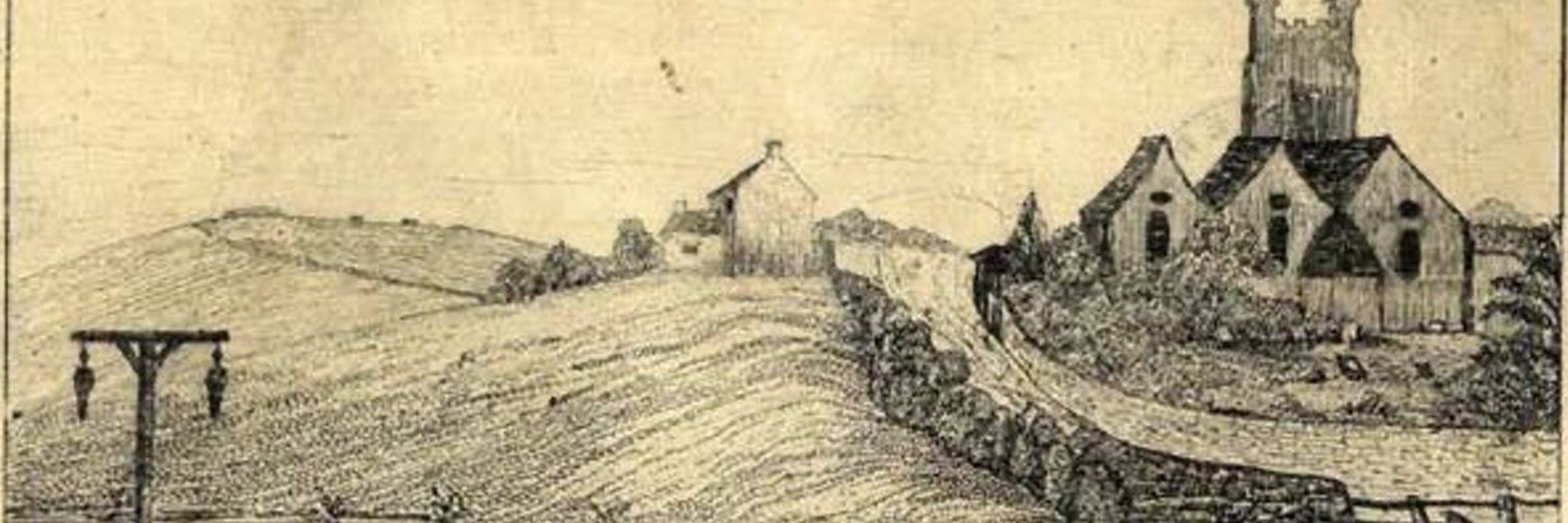 A Janner Darkly