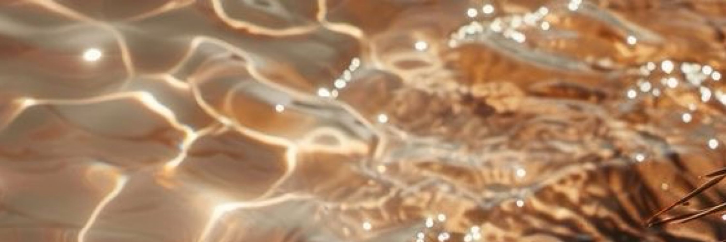 𝐋𝐚𝐝𝐲 𝐇𝐞𝐧𝐝𝐫𝐢𝐱✨