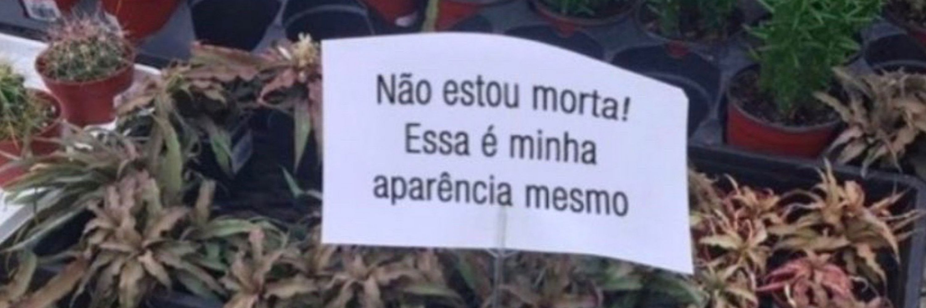 /Quietinha