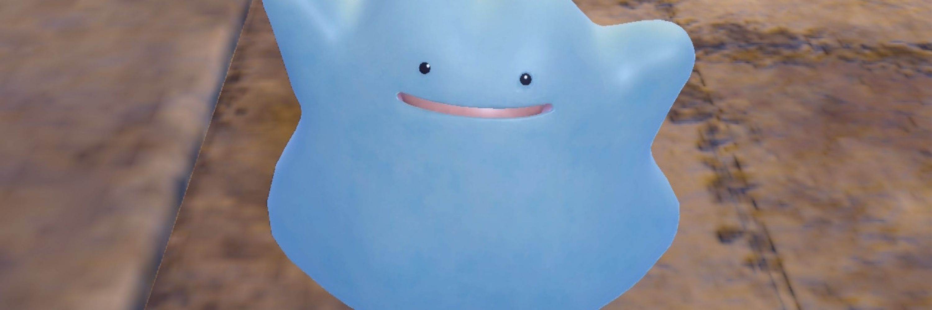 しのほじょ