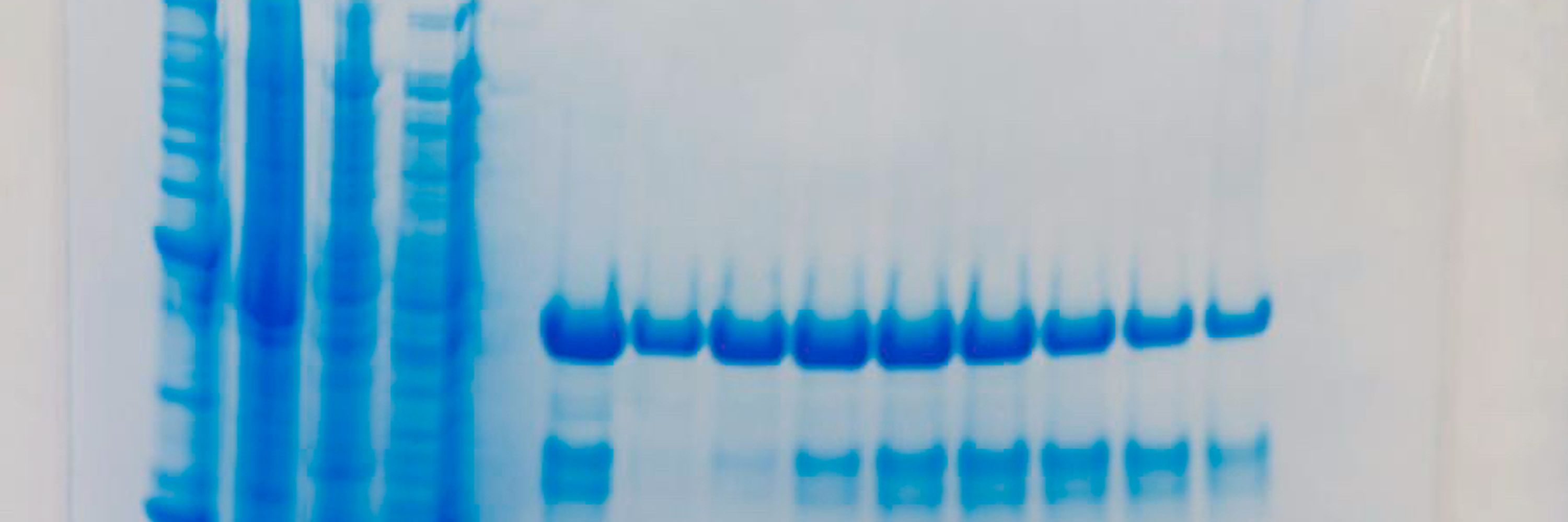 Protein Production Core Facility @MPIB