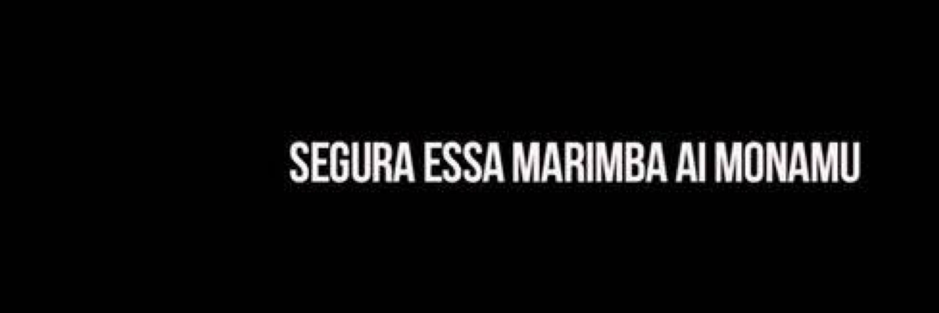 Sem Vesícula 