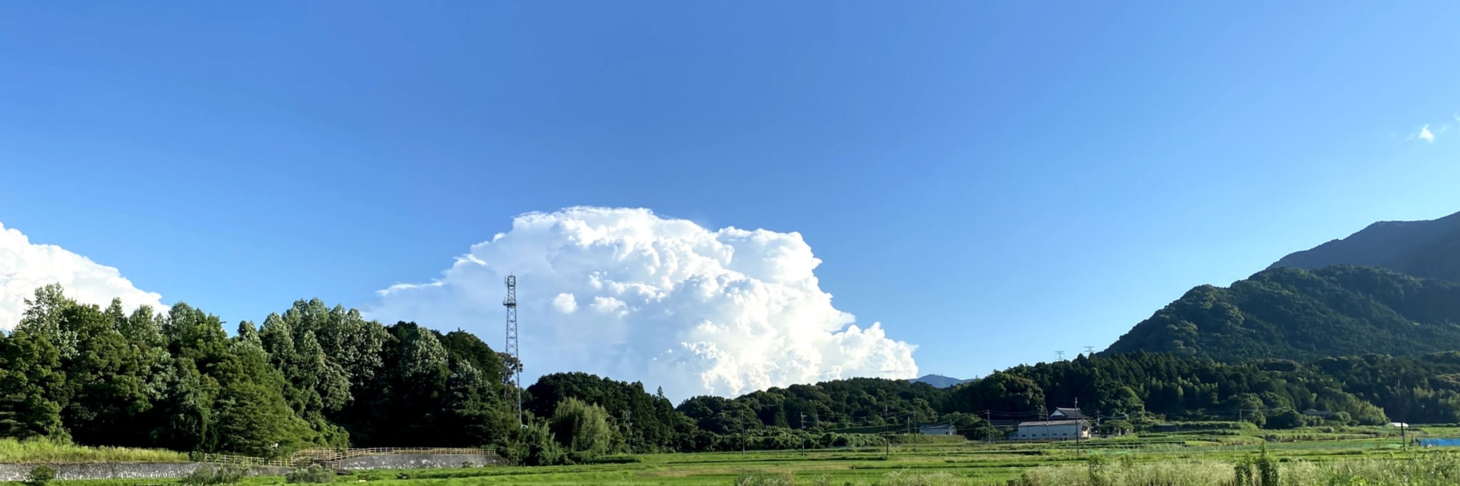 O.K.Design・大島