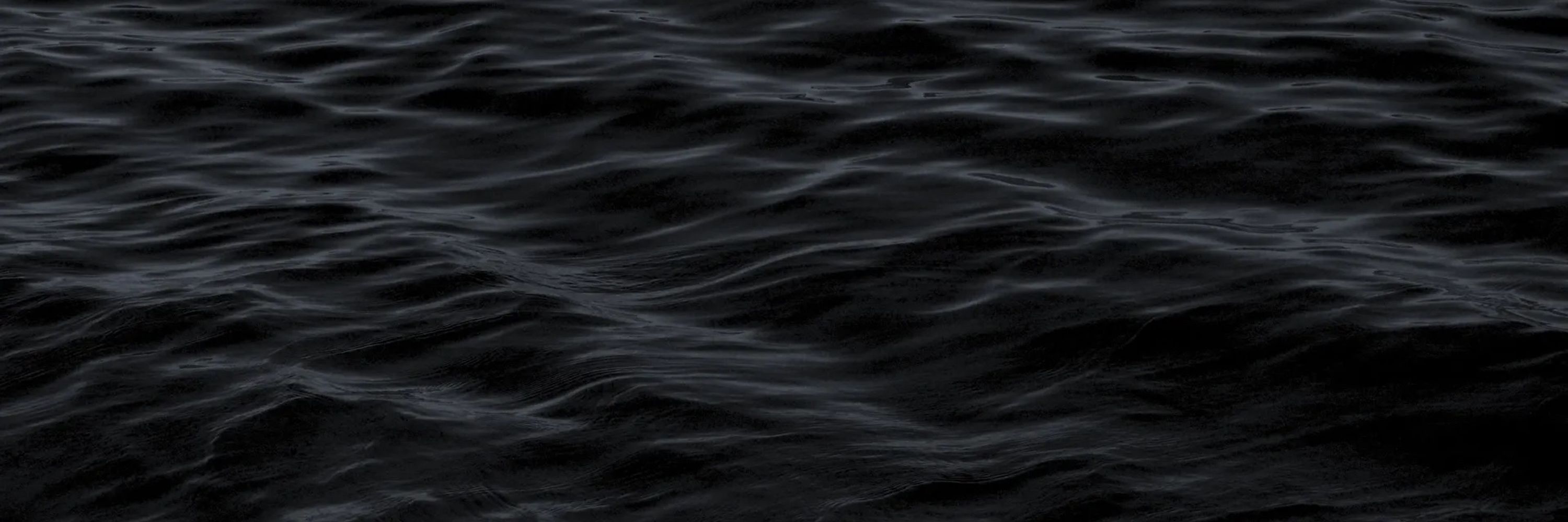 BlkPhish