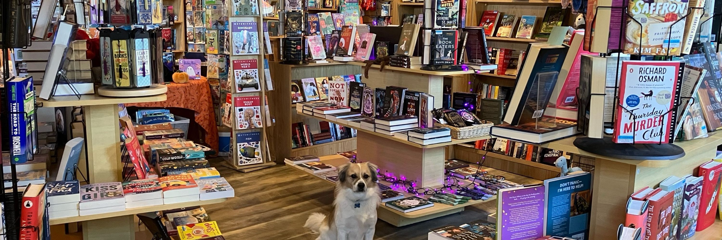 The Dog Eared Book