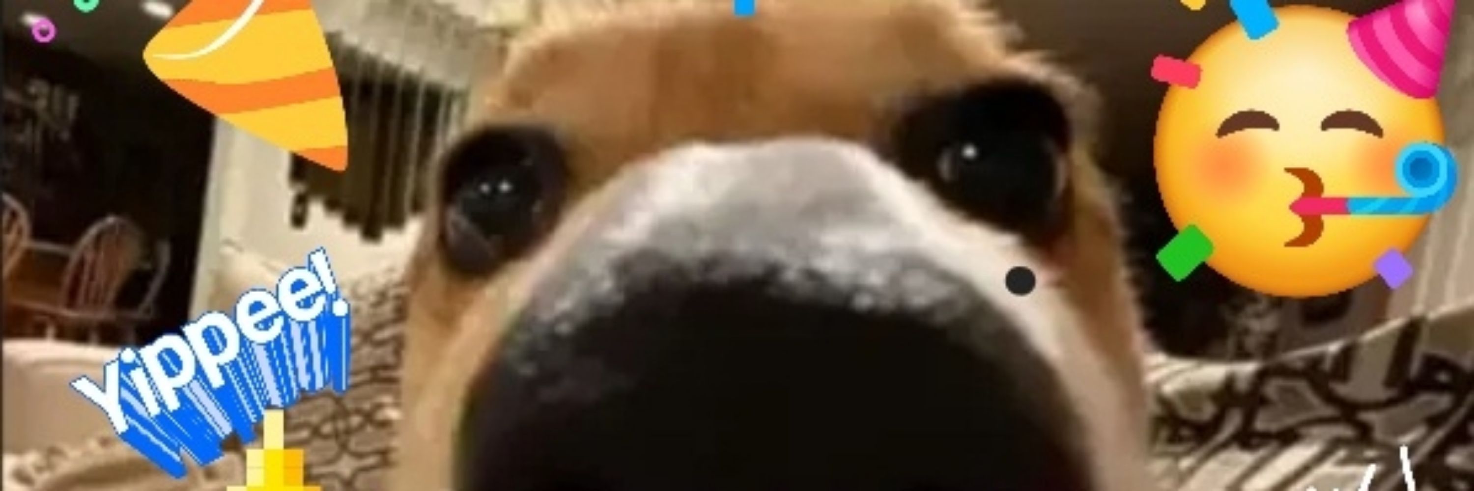 Zak