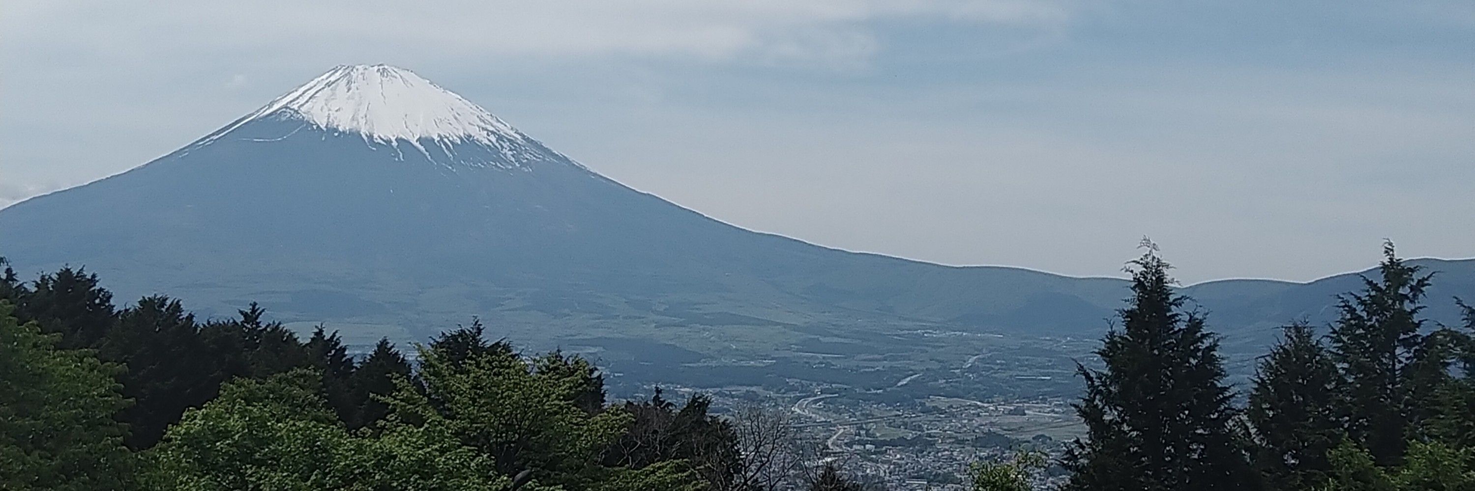 ぽんすけ
