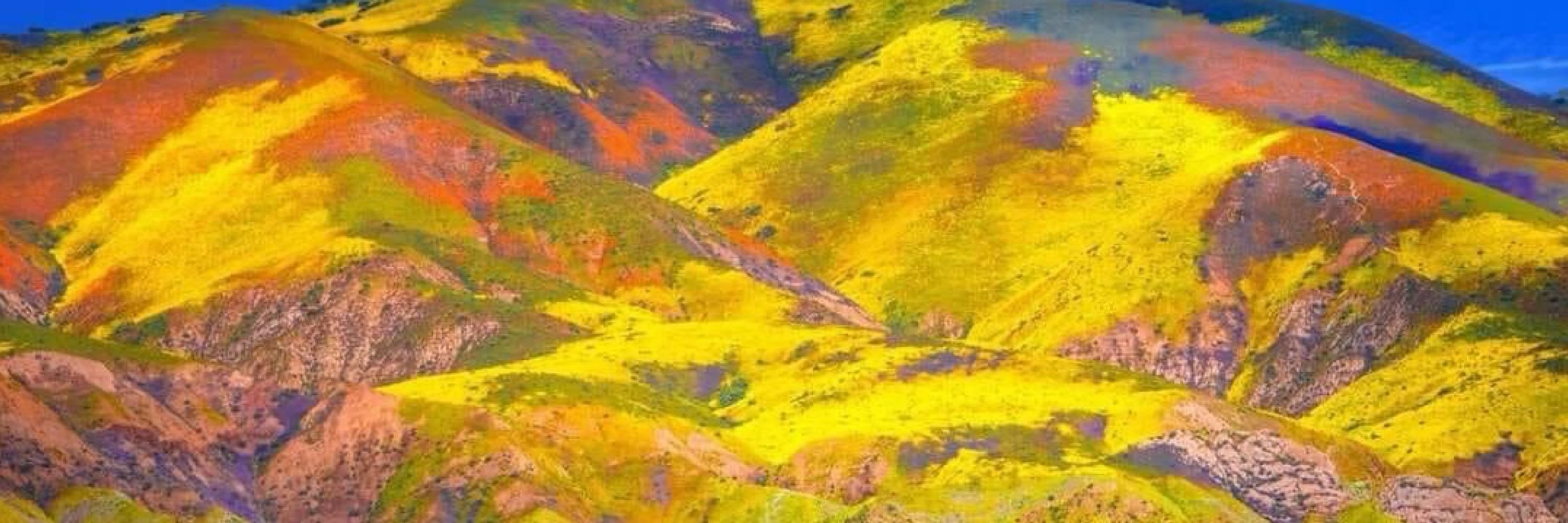 Charles Elford