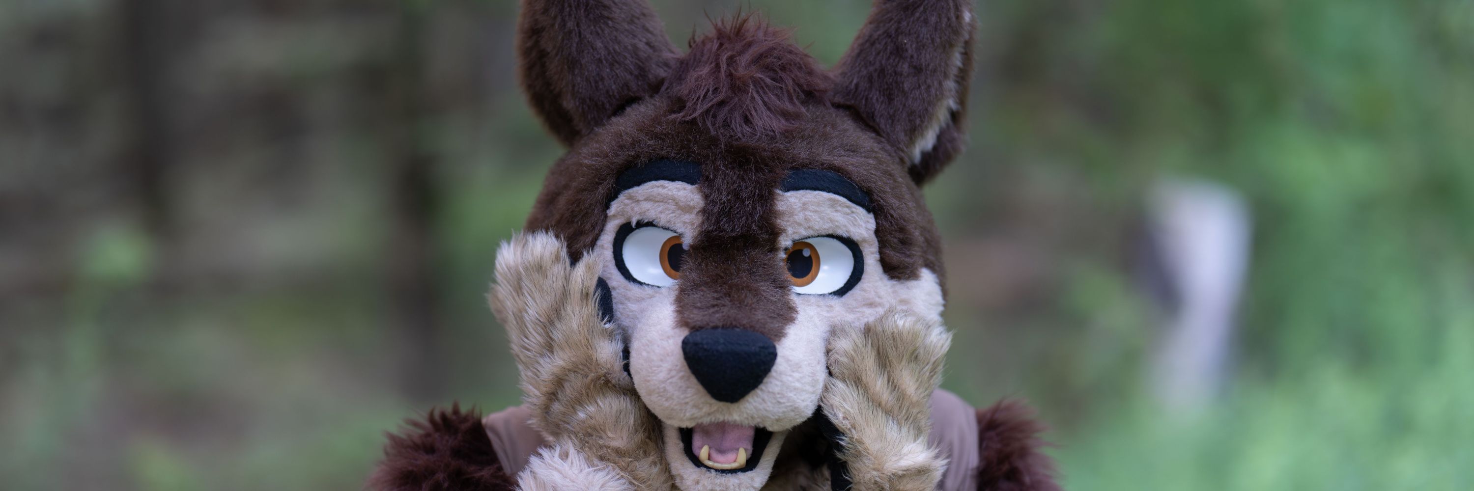 Dessert Canine