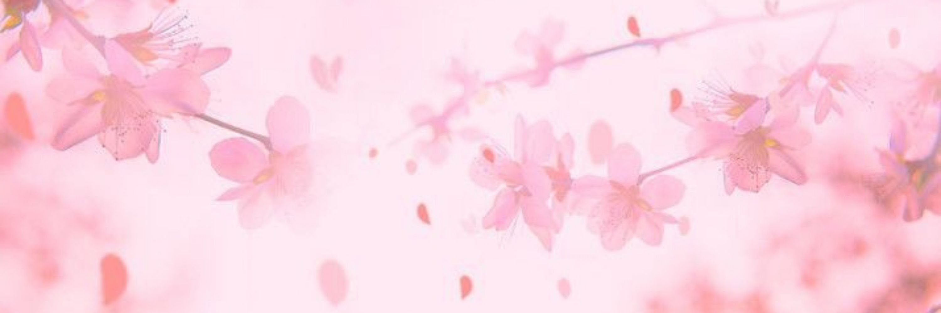 🌸