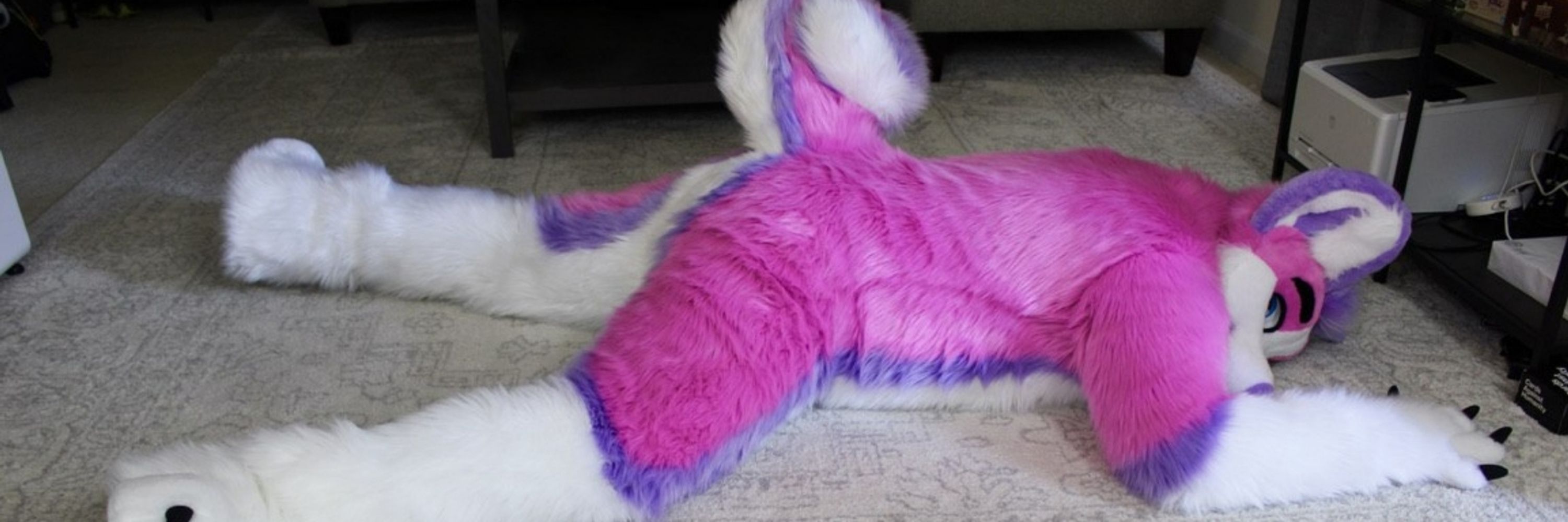 PlexHusky