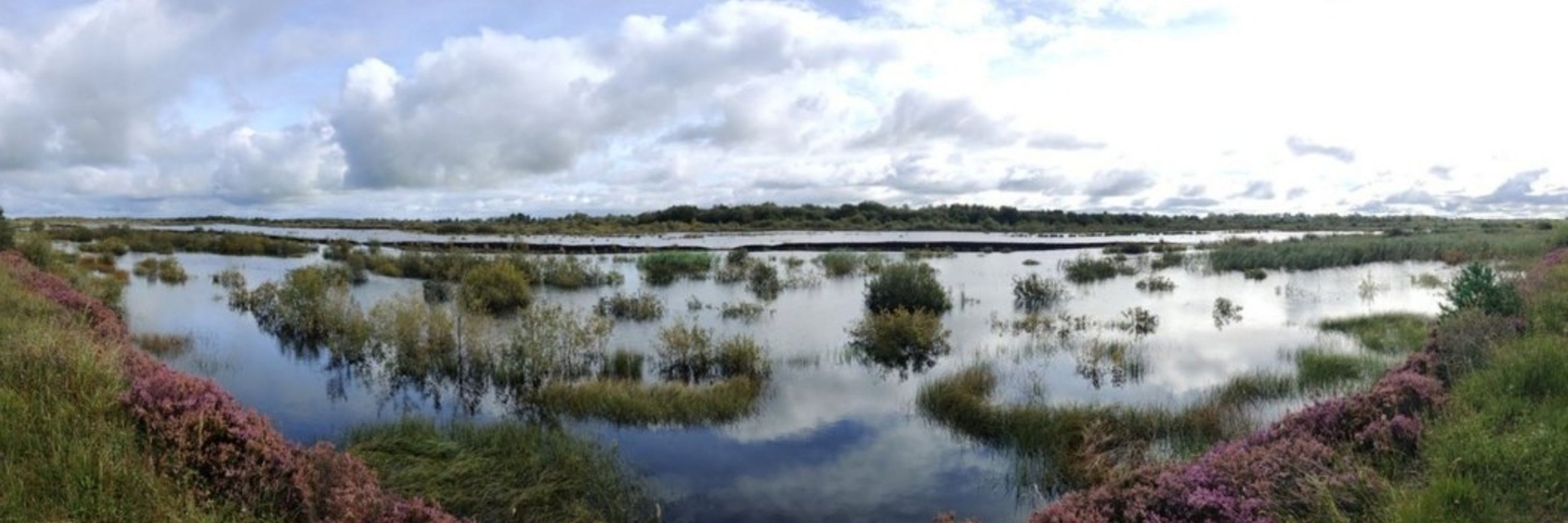 Mid Shannon wilderness Park - Awareness Group